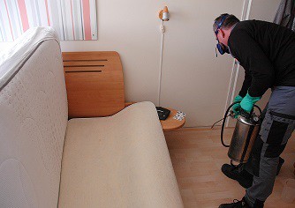 Bedwantsenbestrijding Afbeelding